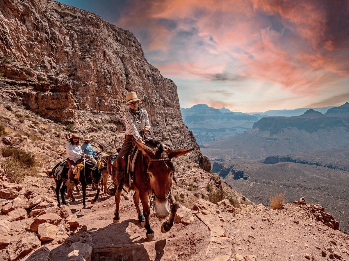 Horseback riding in the Grand Canyon
