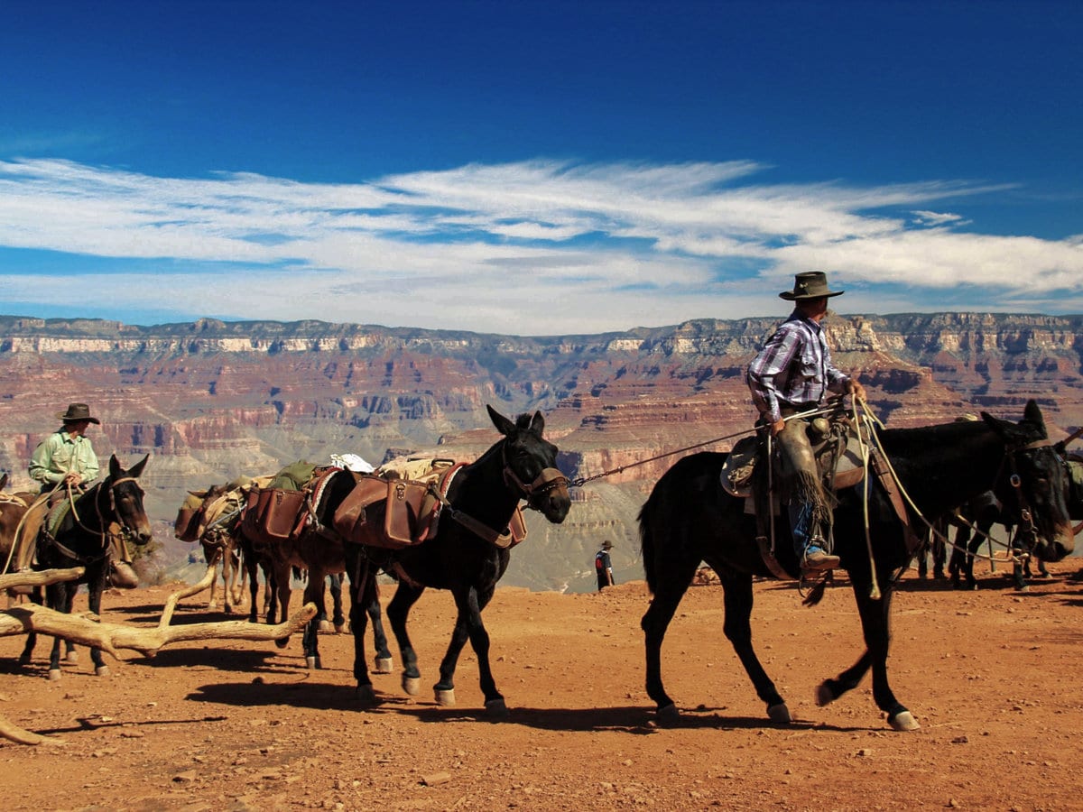 Mule riders at the Grand Canyon National Park in Arizona