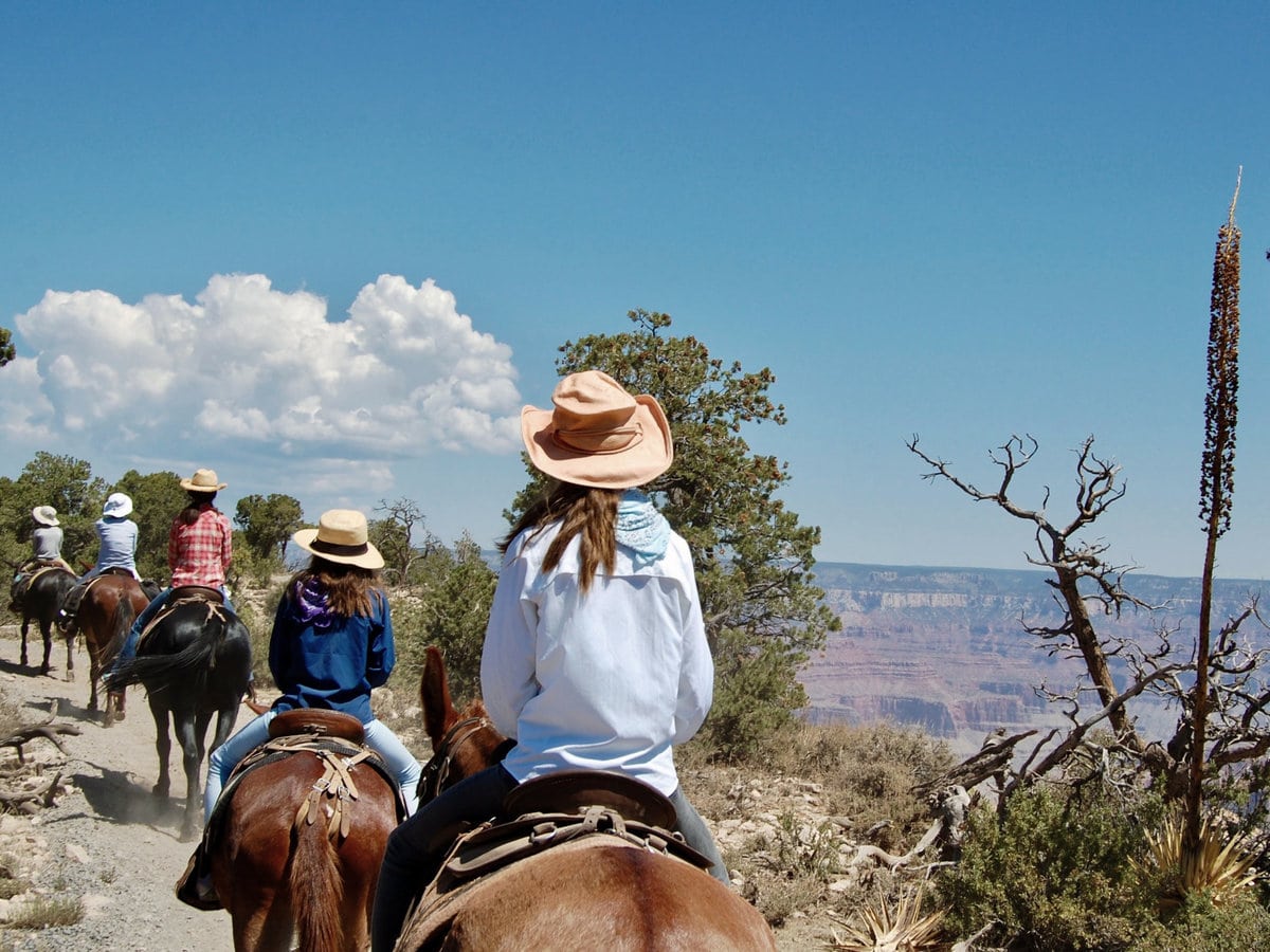 Mule rides at the Grand Canyon's South Rim