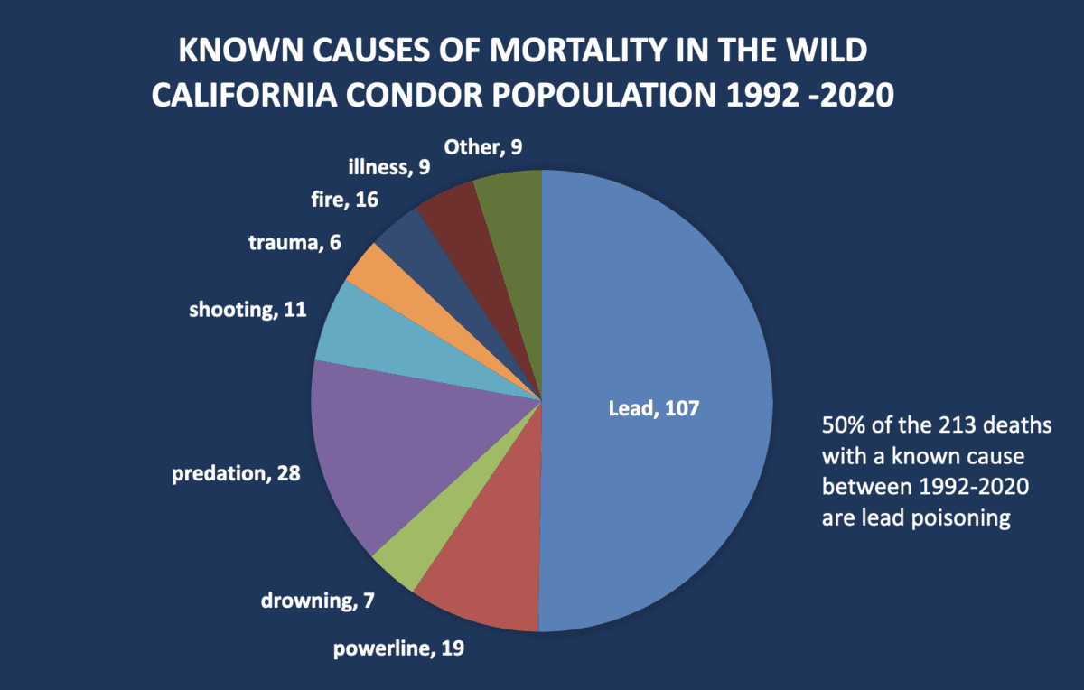 California Condor Causes of Mortality in the Wild