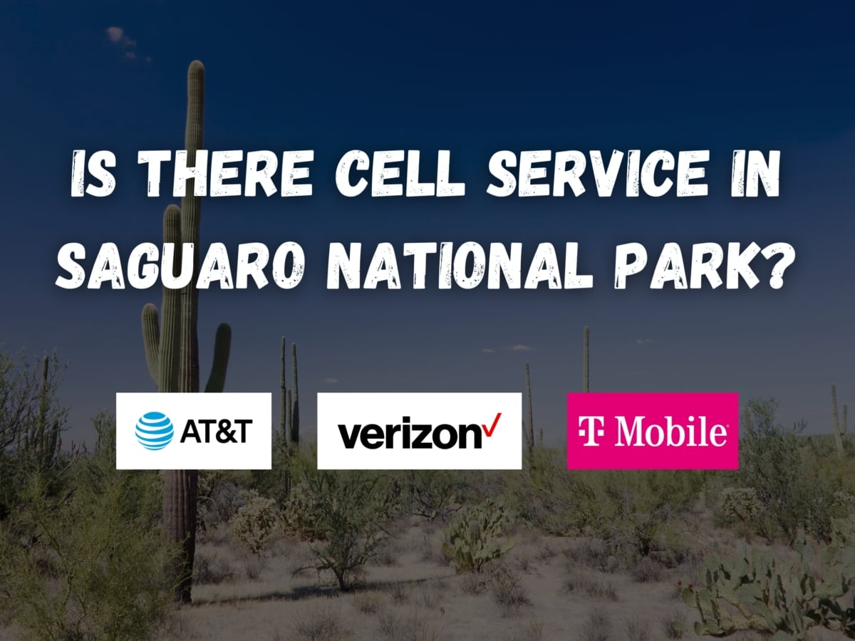 Is There Cell Service in Saguaro National Park