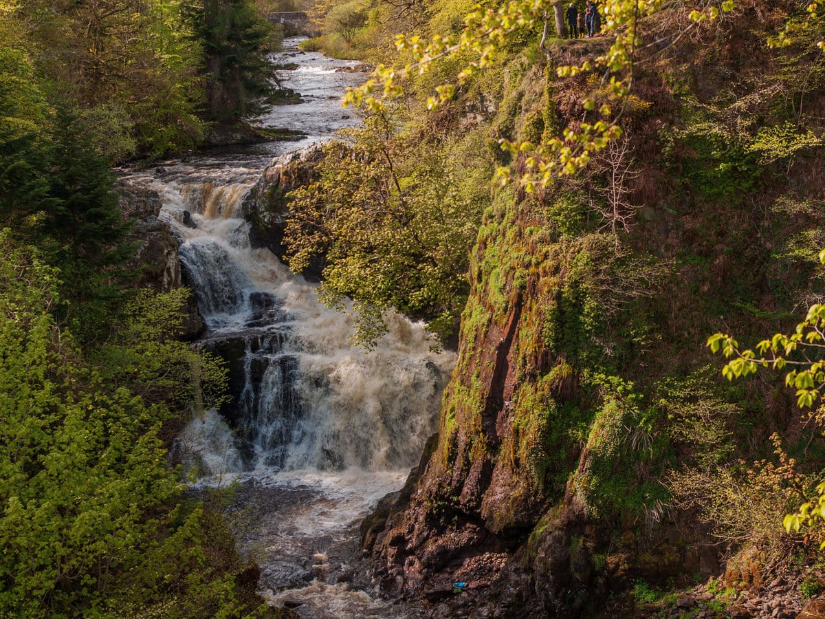 Reekie Linn Waterfall in Angus, Scotland