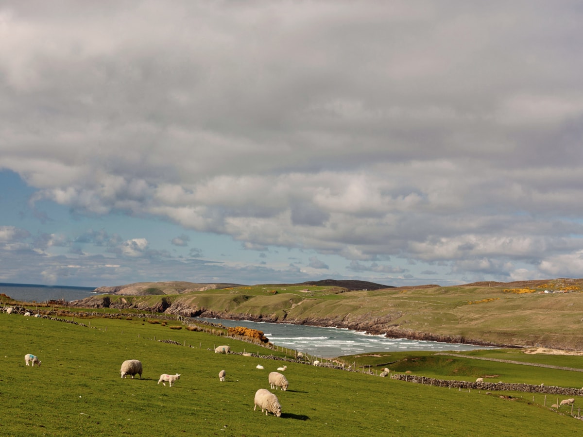 A panoramic landscape between Bettyshill and Thurso in Scotland
