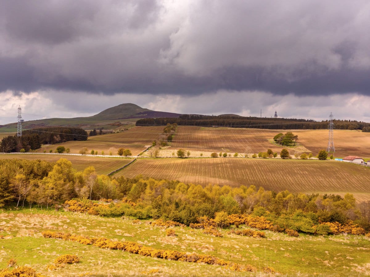 East Lomond, aka Falkland Hill, from Rind Hill near Glenrothes