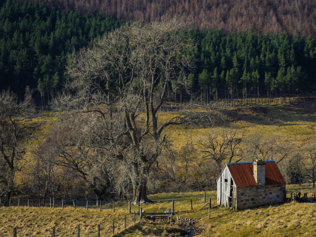 An old bothy in Glen Tilt, Perthshire, Scotland