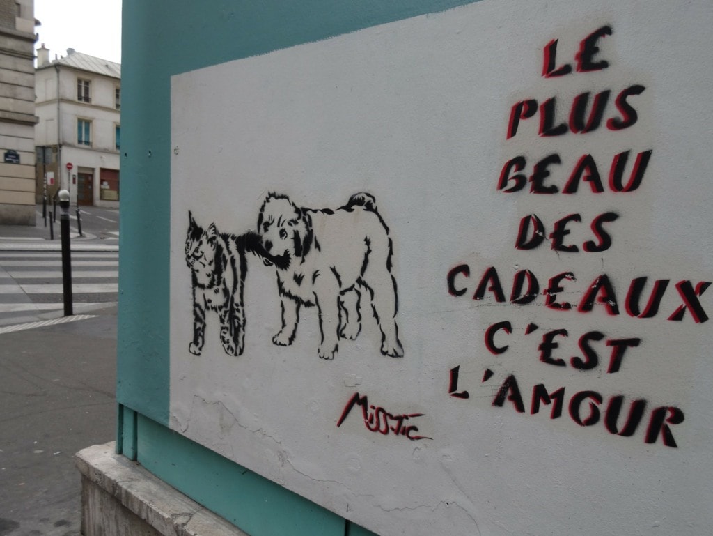Graffiti in french in Paris streets