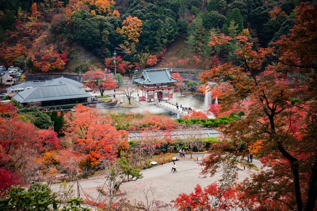 Fall park in Osaka