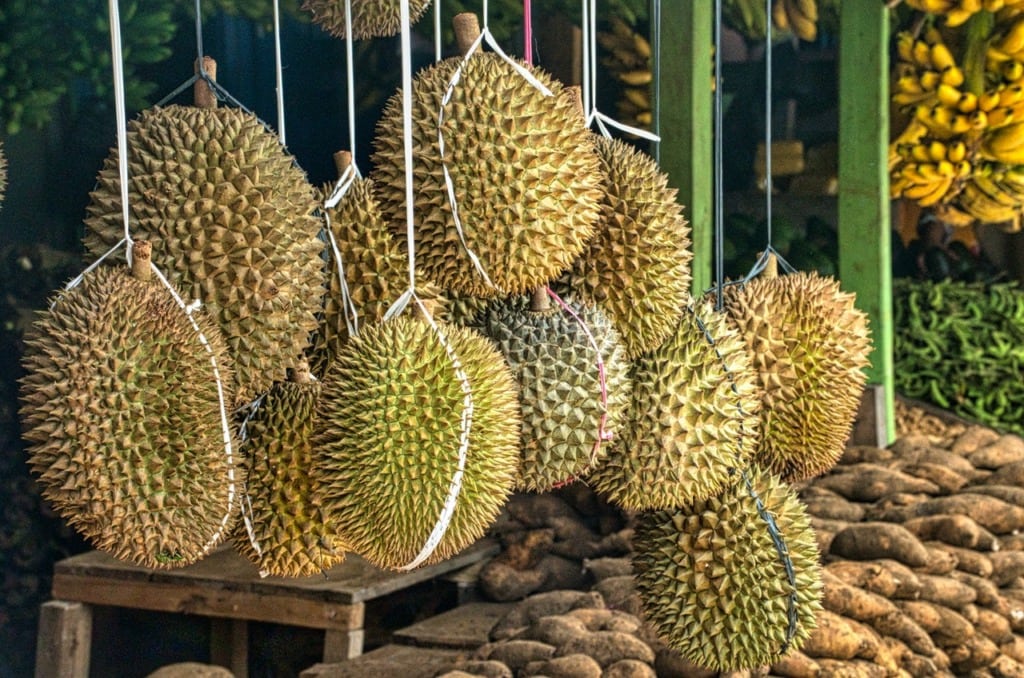 Durian fruit in Vietnam