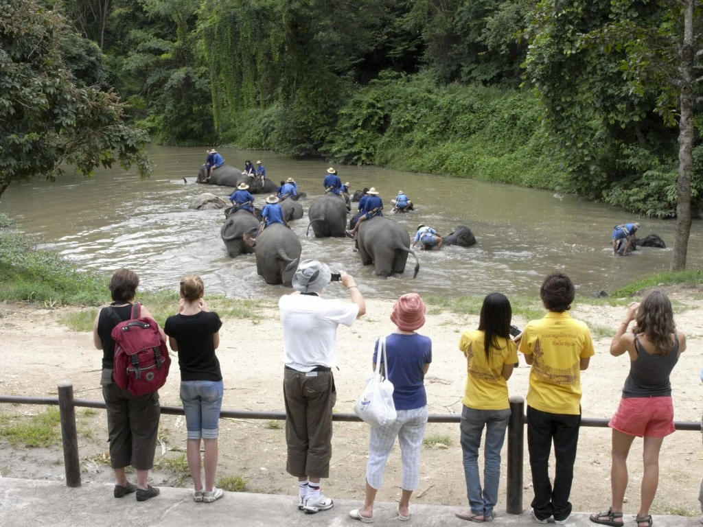 Tourists watch elephants Elephant Conservation Center in Lampang, Thailand