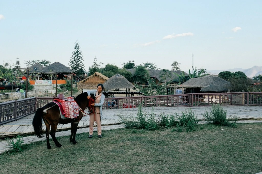 Village woman grooming her pony in Pai