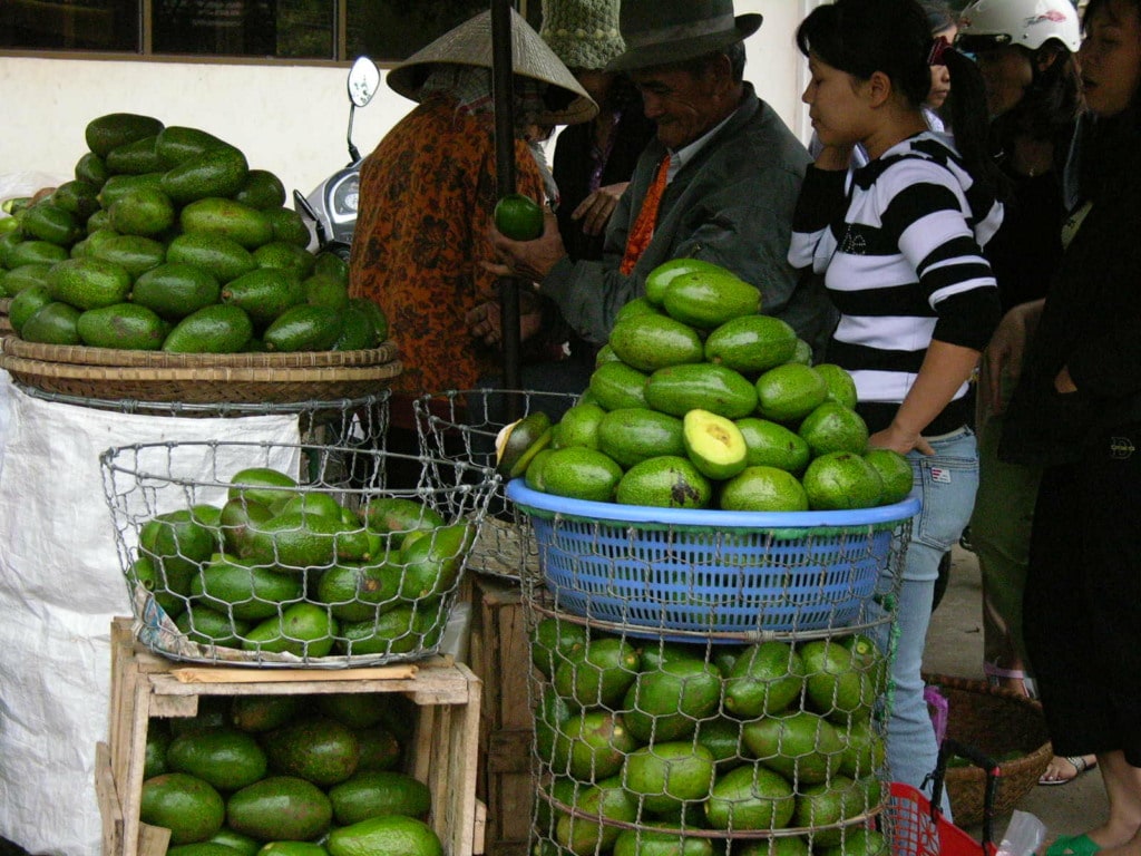 avocado fruit market in Vietnam