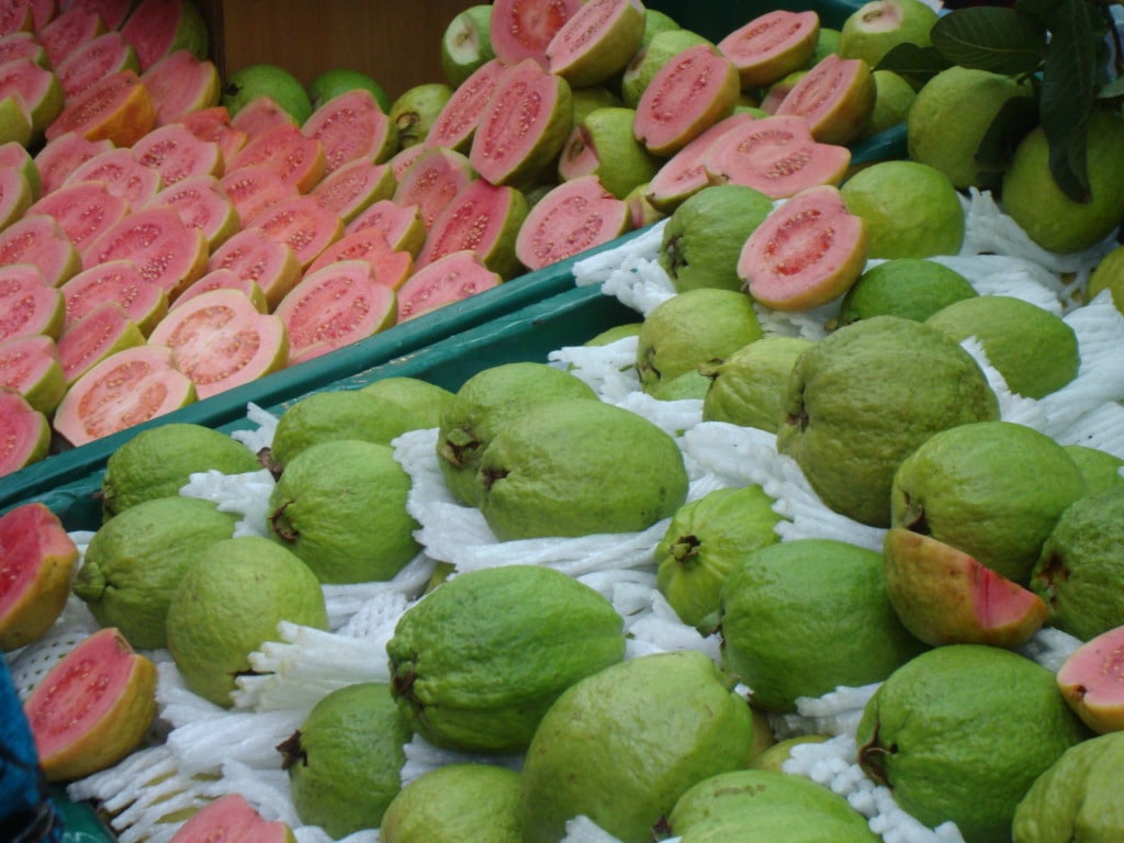 Where to find guava fruit in Vietnam