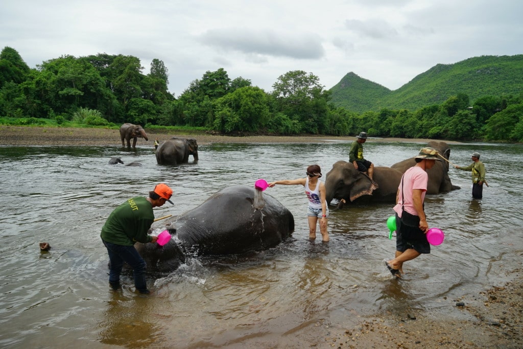 Elephant Day Care in Elephant World Sanctuary near Bangkok, Thailand