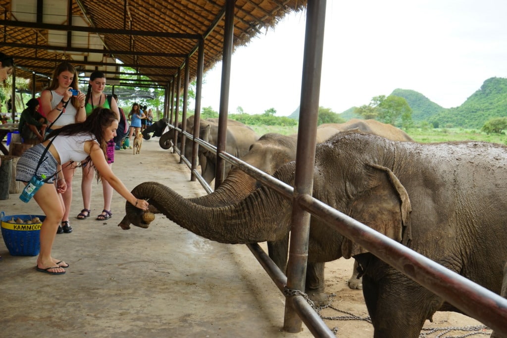 Tourists in Elephant World Sanctuary near Bangkok, Thailand