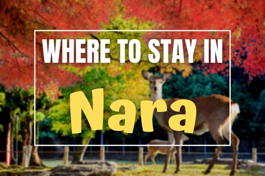 Where to stay in Nara Japan