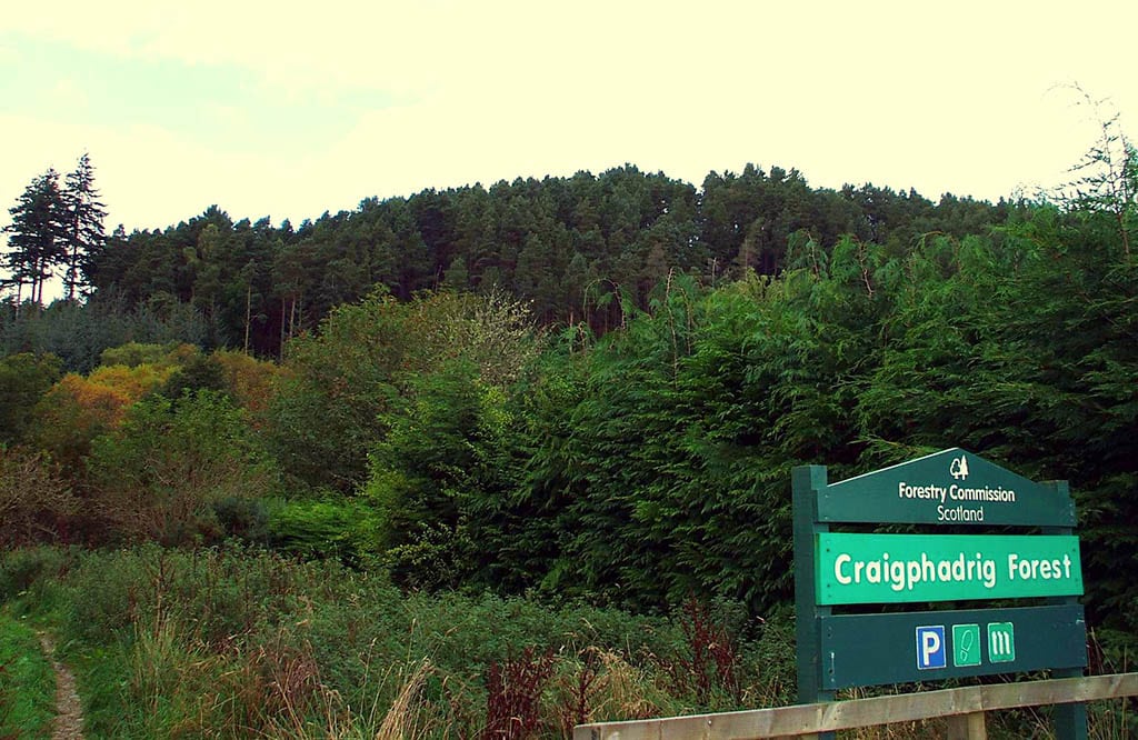 Craig Phadrig Forest Inverness Scotland