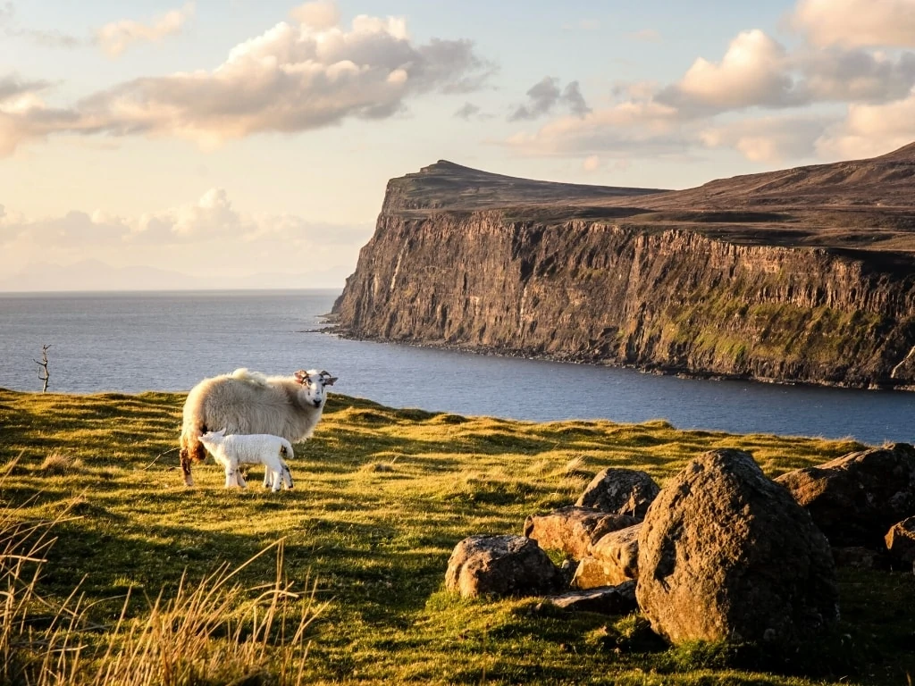 Best Cliffs in Scotland: Top 13 Most Breathtaking Scottish Cliffs