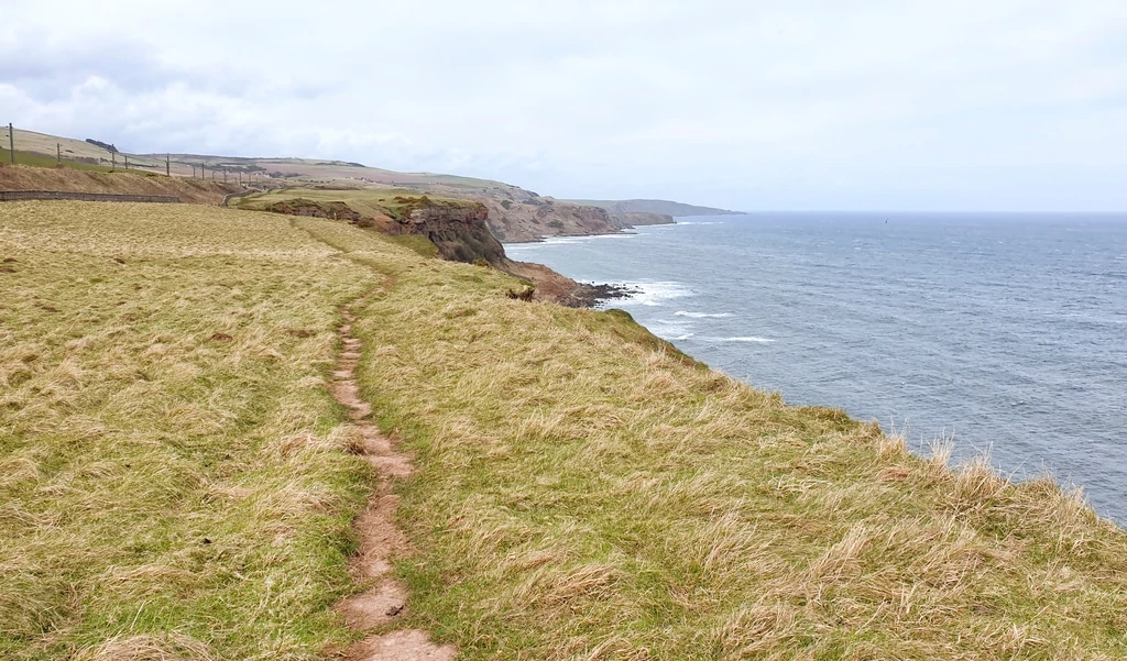 Berwickshire Coastal Path