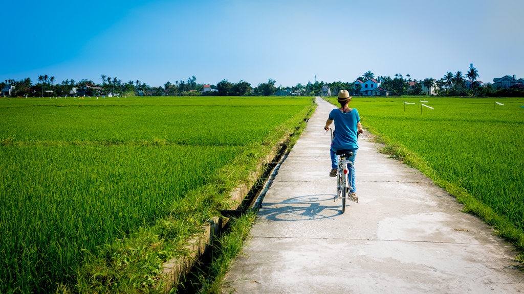 Bicycling In Rice Fields Hoi An