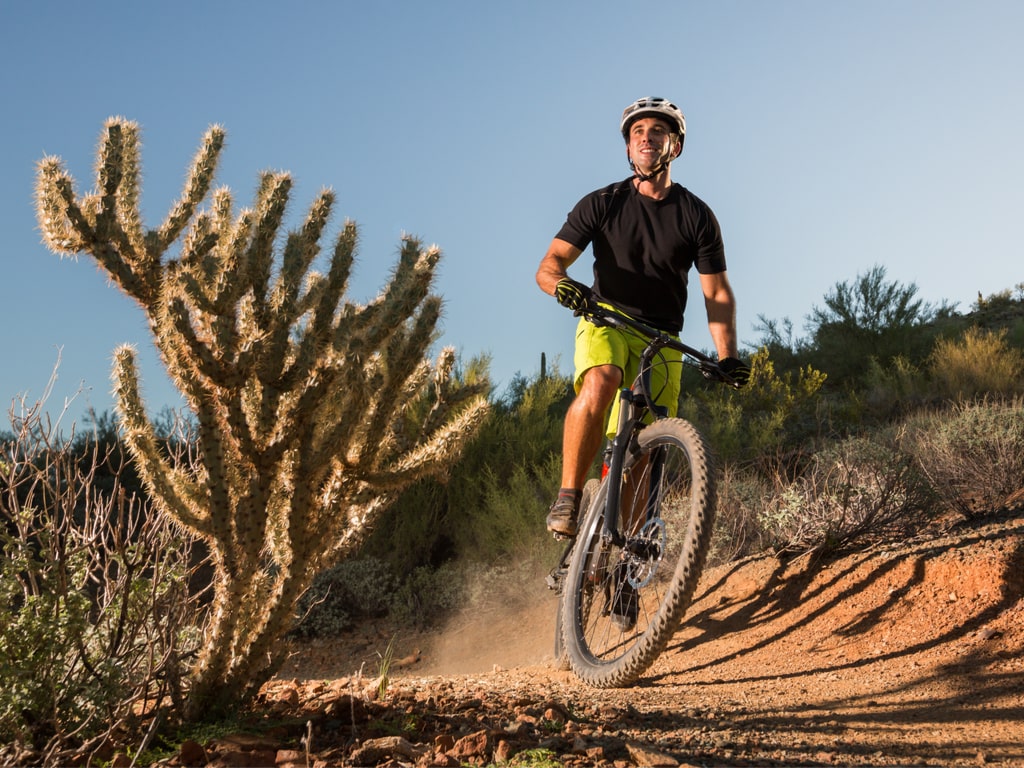 Desert Mountain Biker Next to Cactus