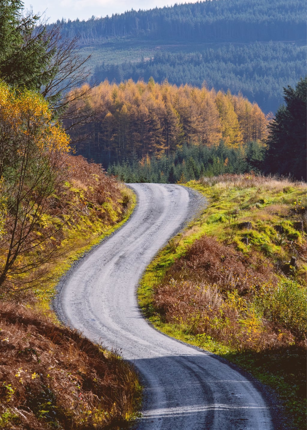 The Raiders Road in the Galloway Forest Park during the autumn season