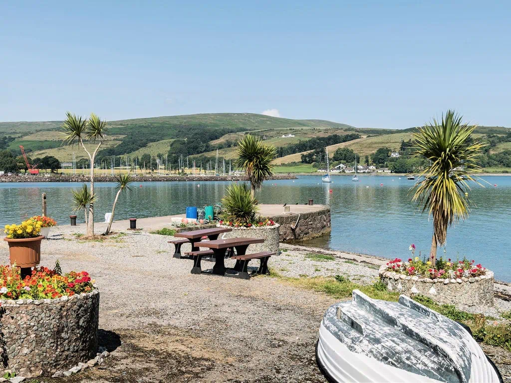 Natural palm trees in Port Bannatyne pier on the Isle of Bute, Scotland