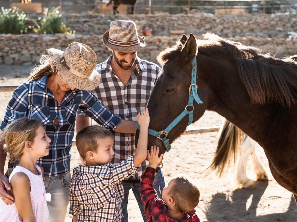 A Family Having Fun with Horses at a Ranch