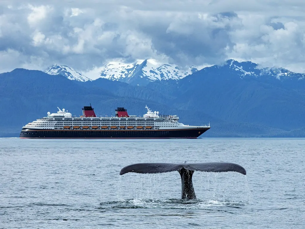 Best Alaska Cruises