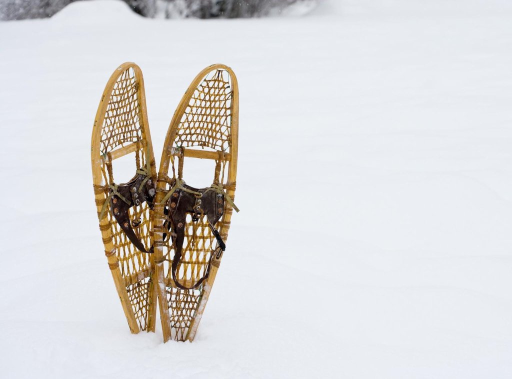 A pair of snowshoes
